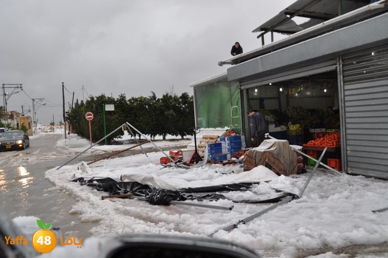 iceman lud 1213 (80).JPG